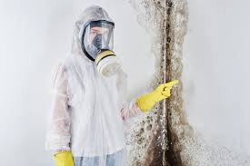 Best Air Quality Testing for Mold Spores  in Jamesburg, NJ